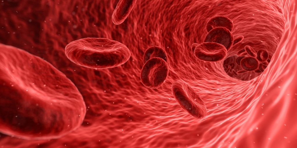 EUA autorizam plasma convalescente como tratamento emergencial da COVID-19 - 2