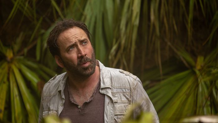 A Máfia dos Tigres vai virar série com Nicolas Cage interpretando Joe Exotic - 1