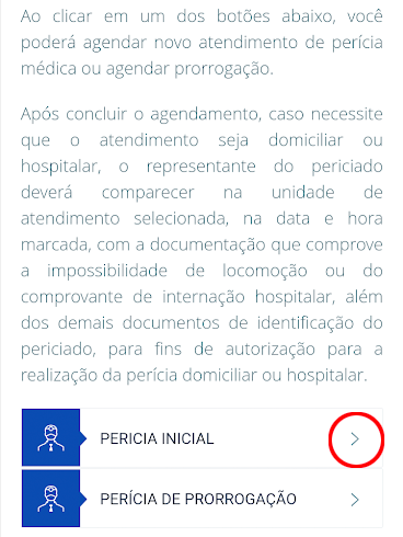 Como agendar serviços no site do INSS - 6