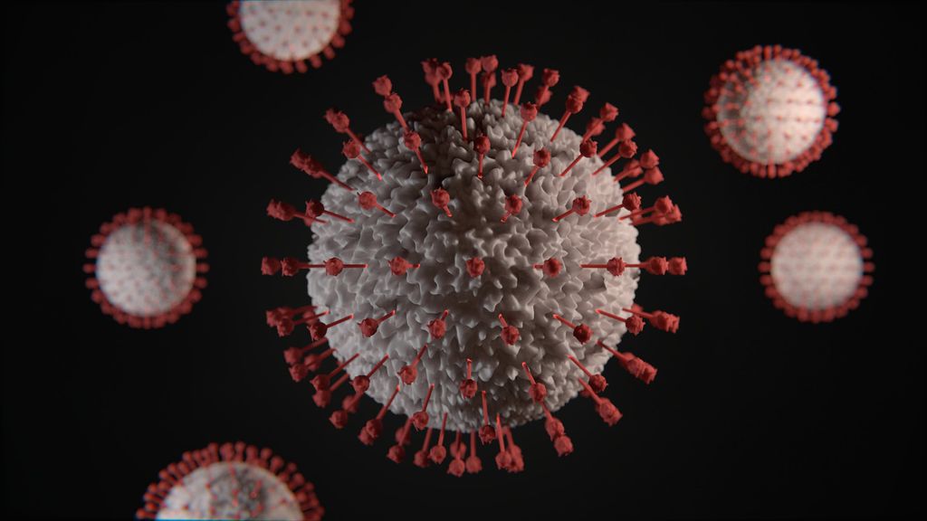 COVID-19 | 'Minipulmões' contaminados dão aula sobre coronavírus para cientistas - 2