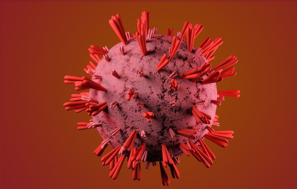 COVID-19 | 'Minipulmões' contaminados dão aula sobre coronavírus para cientistas - 3