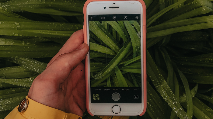 4 apps para identificar plantas por fotos - 1