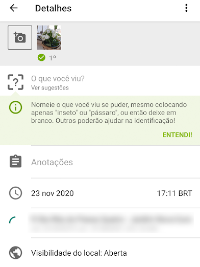 4 apps para identificar plantas por fotos - 3