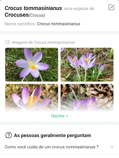 4 apps para identificar plantas por fotos - 4