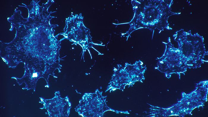 Como viagens espaciais e a microgravidade podem afetar a atividade das células? - 1