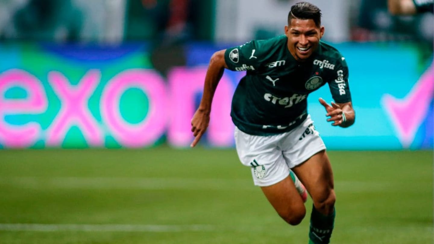 Delfín x Palmeiras | Onde assistir, prováveis escalações, horário e local; Verdão tem retornos, mas vê nova baixa - 2