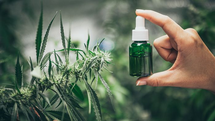 Como a cannabis pode ajudar no tratamento da COVID-19? - 1