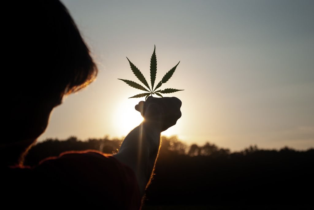 Como a cannabis pode ajudar no tratamento da COVID-19? - 4