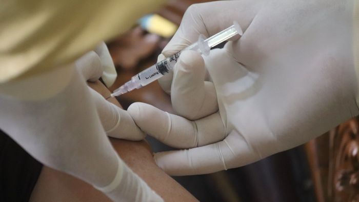 Em testes, vacina pan-coronavírus pode proteger da COVID e outras doenças - 1