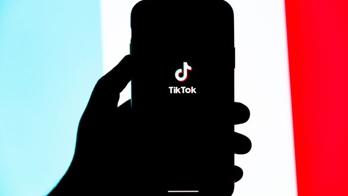 TikTok | 10 perfis que falam sobre ciência para você seguir na rede social - 1