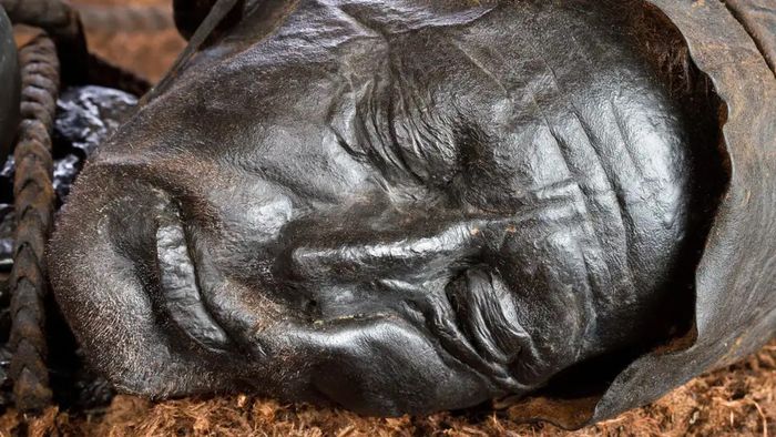 Múmia de homem morto há 2.400 anos revela qual foi sua última refeição - 1