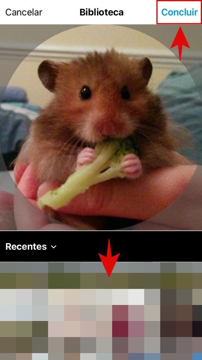 Como mudar a capa do Destaque do Instagram sem postar nos Stories - 7