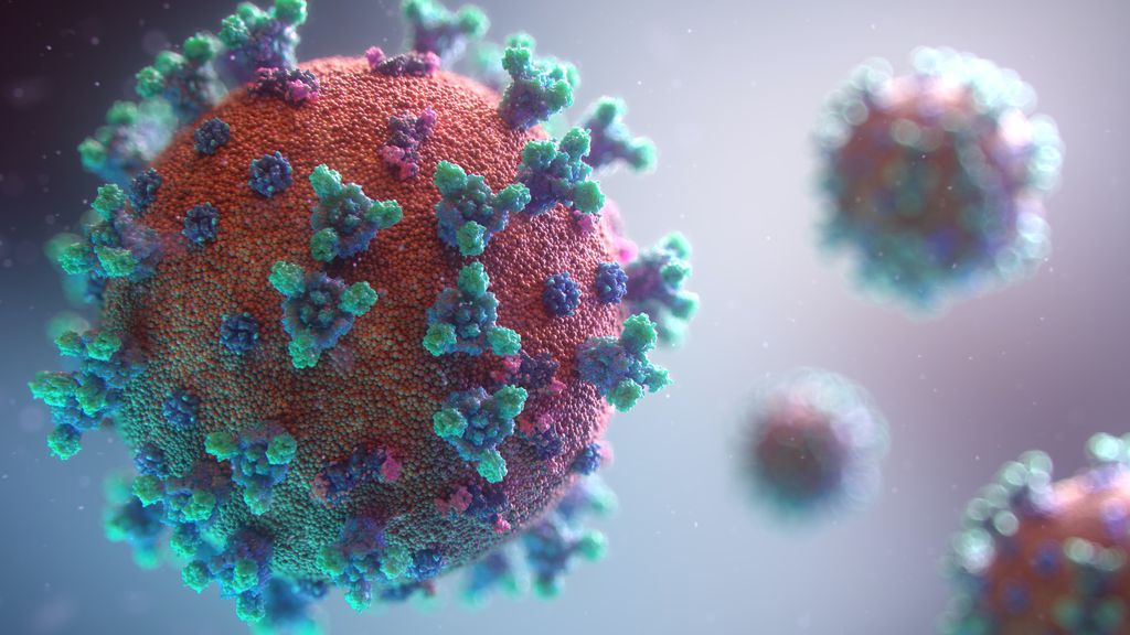 Há riscos de uma nova pandemia como a da COVID? Cientistas calculam a resposta - 2