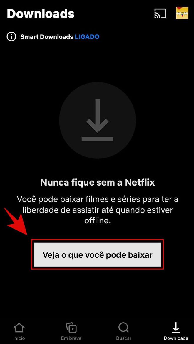 Como assistir filmes e séries na Netflix pelo celular - 3