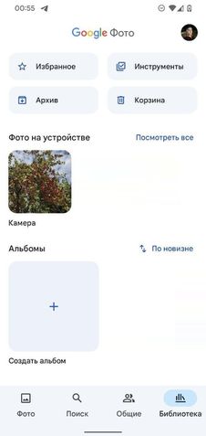 Google Fotos Material You Incompleto 5