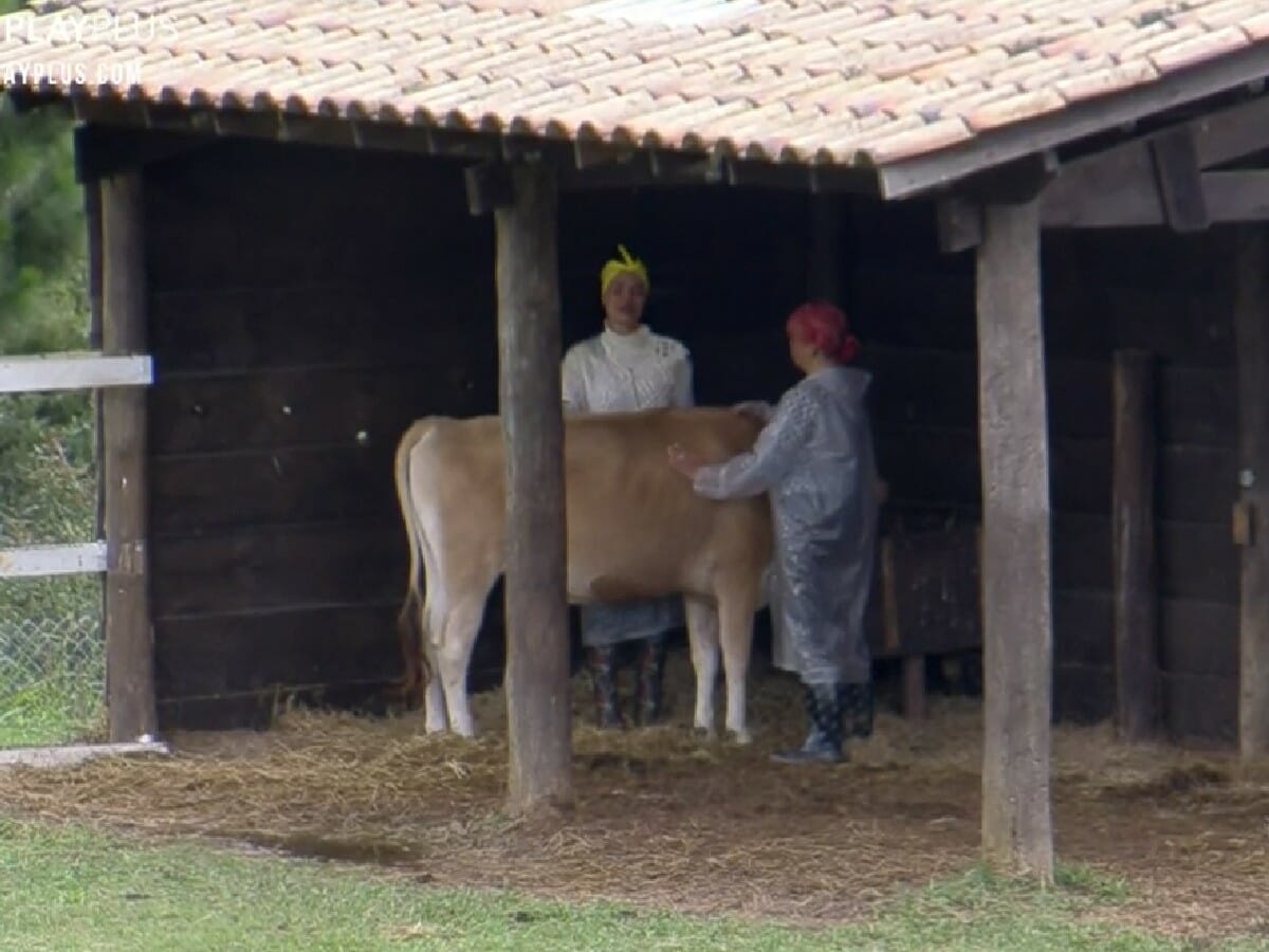 Aline Mineiro chora enquanto abraça a vaca em A Fazenda 13: “Como tem gente que tem coragem?” - 1