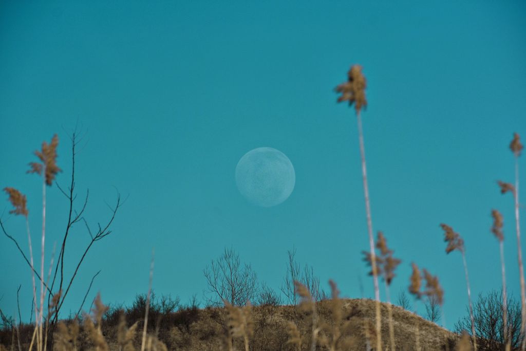 Por que a Lua também aparece de dia no céu? - 2