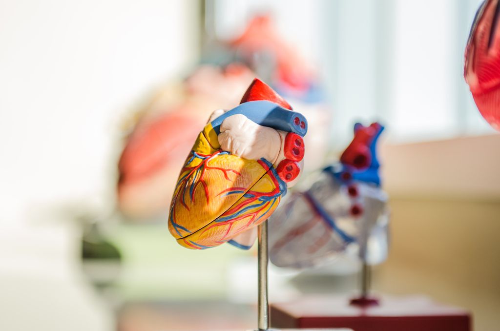 Quem já sofreu um AVC tem mais chances de ter um infarto, sugere novo estudo - 2