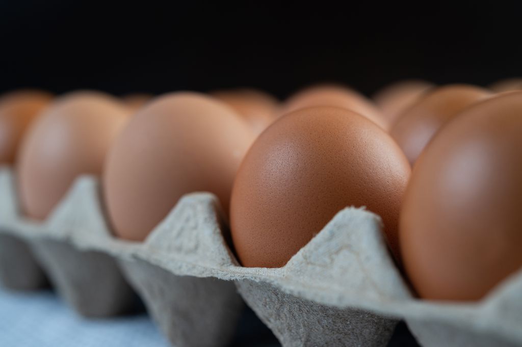 6 hábitos comuns na cozinha que podem colocar a sua saúde em risco - 4