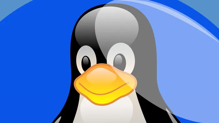 Ransomware e vírus ladrão de cripto estão entre principais ameaças no Linux - 1