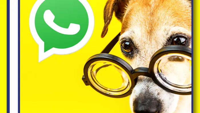 Como ficar offline no WhatsApp - 1