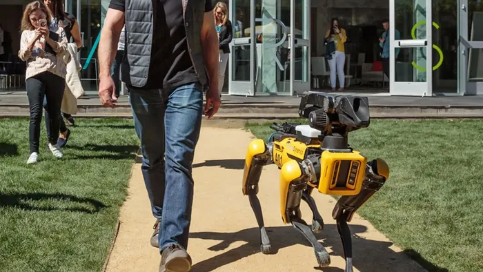 Homem vai usar cachorro robô para recuperar 8.000 Bitcoin perdidos em lixão - 1