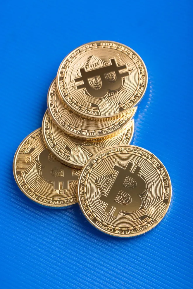 Homem vai usar cachorro robô para recuperar 8.000 Bitcoin perdidos em lixão - 2
