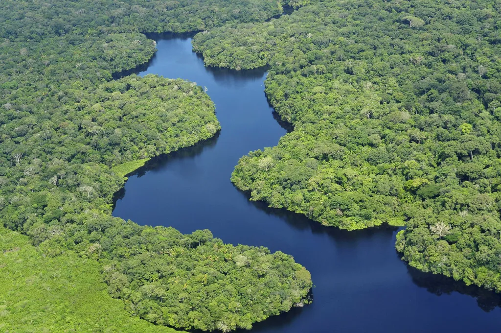 Milhões de pessoas povoaram a Amazônia há pelo menos 8 mil anos - 2