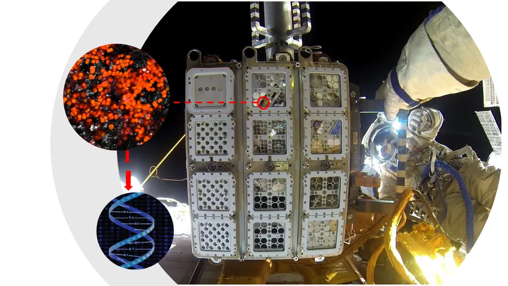 Plataformas da ISS revelam efeitos do espaço em materiais e organismos - 3