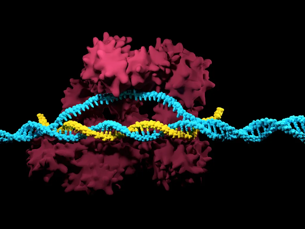 A edição CRISPR é uma arma muito importante na edição genética, mas deve ser utilizada com cuidado (Imagem: Reprodução/Meletios Verras)