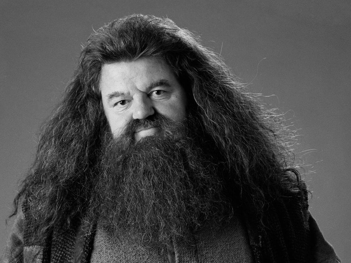 Harry Potter: 7 segredos de Hagrid que os fãs não sabem - 1