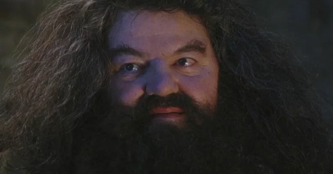 Harry Potter: 7 segredos de Hagrid que os fãs não sabem - 2