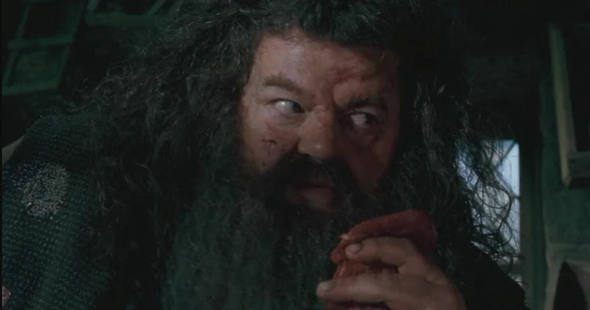 Harry Potter: 7 segredos de Hagrid que os fãs não sabem - 5