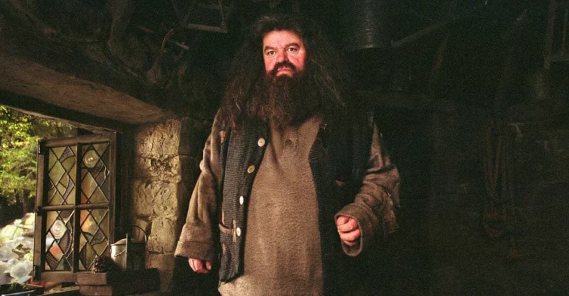 Harry Potter: 7 segredos de Hagrid que os fãs não sabem - 6