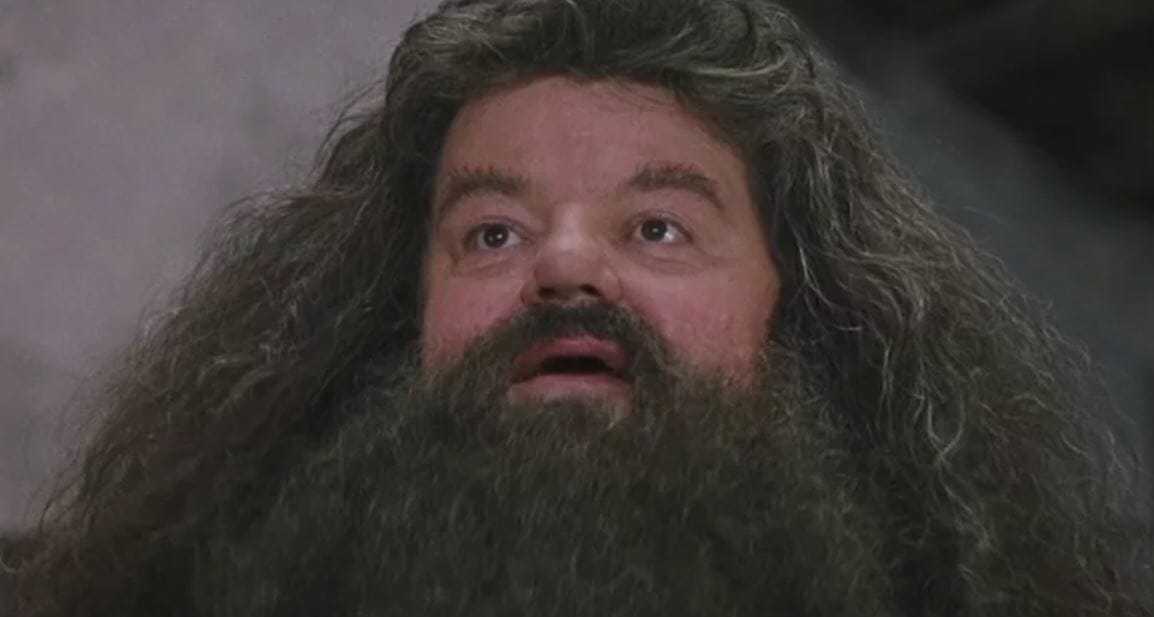 Harry Potter: 7 segredos de Hagrid que os fãs não sabem - 7