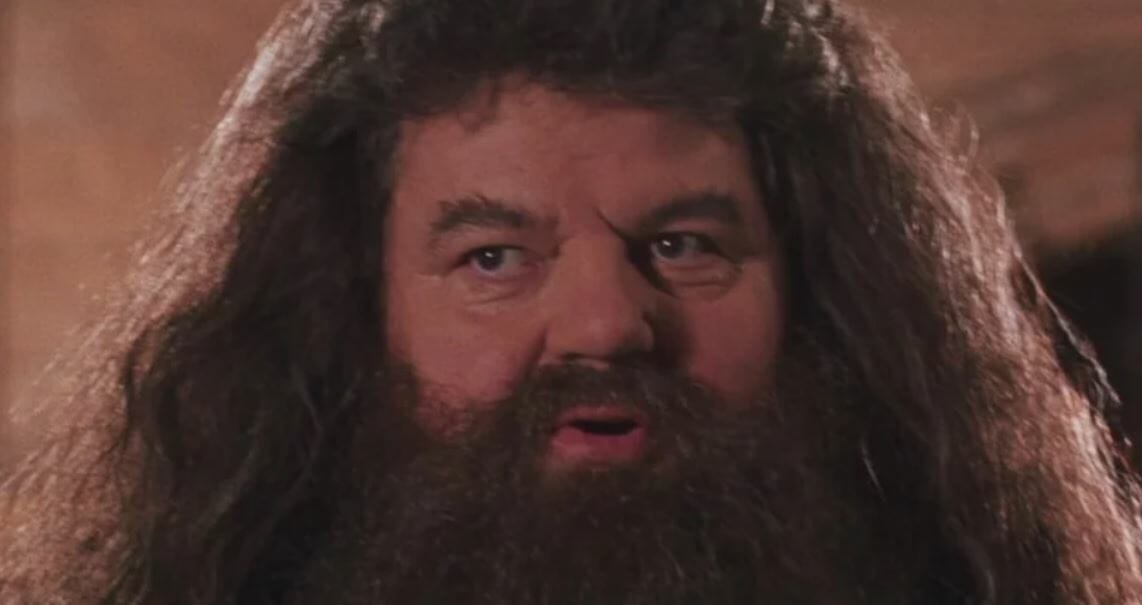 Harry Potter: 7 segredos de Hagrid que os fãs não sabem - 8