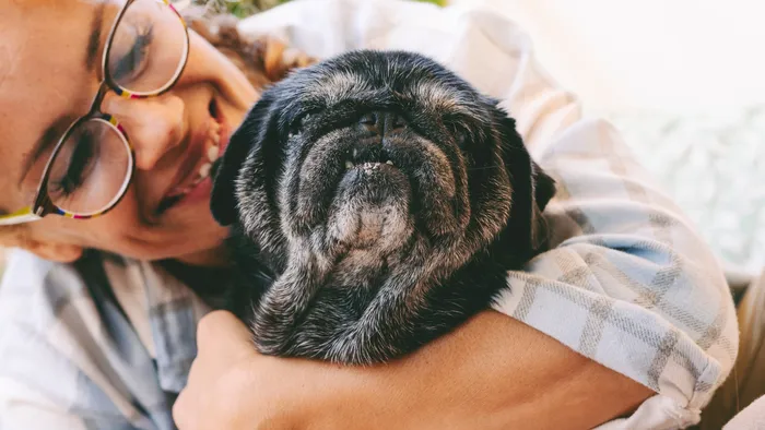 Cães podem desenvolver demência igual aos humanos - 1