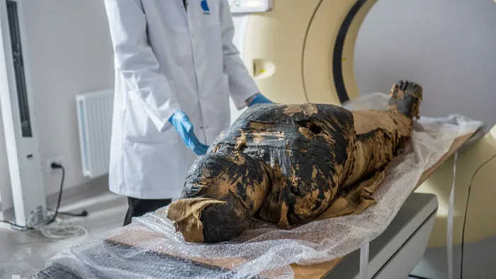 Cientistas reconstroem rosto da primeira múmia grávida do mundo, com 2 mil anos - 1