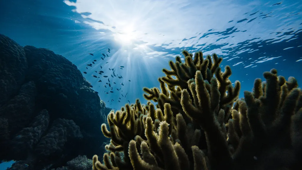 A maior parte da água da Terra está nos oceanos (Marek Okon/Unsplash)