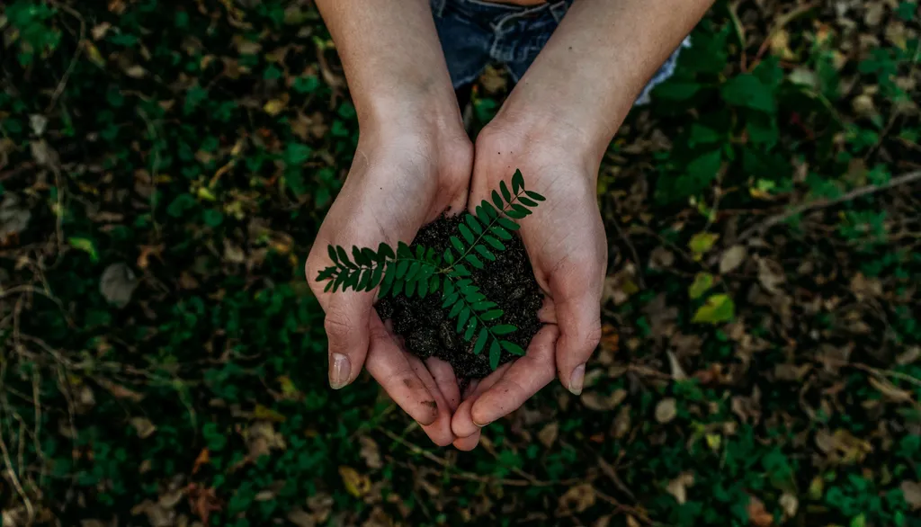 Preservar a biodiversidade é um esforço coletivo (: Imagem: Noah Buscher/Unsplash)