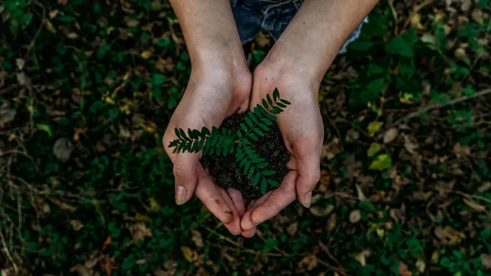 Como preservar o meio ambiente? Veja dicas para ajudar o planeta - 1