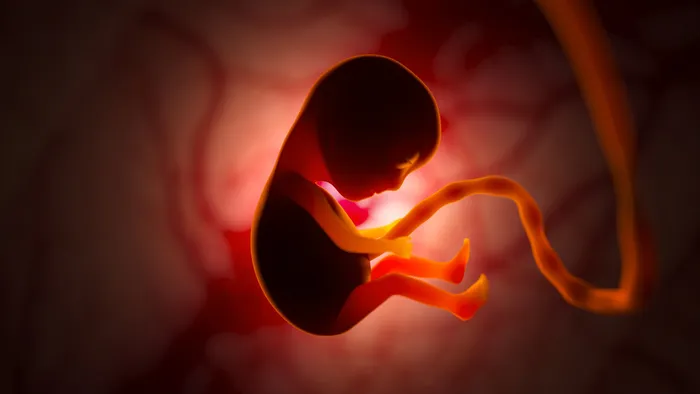 Médicos tratam bebê com doença genética enquanto ele ainda está no útero - 1