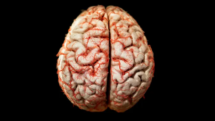 Pré-cúneo: estímulos nesta área do cérebro ajudam a conter Alzheimer - 1