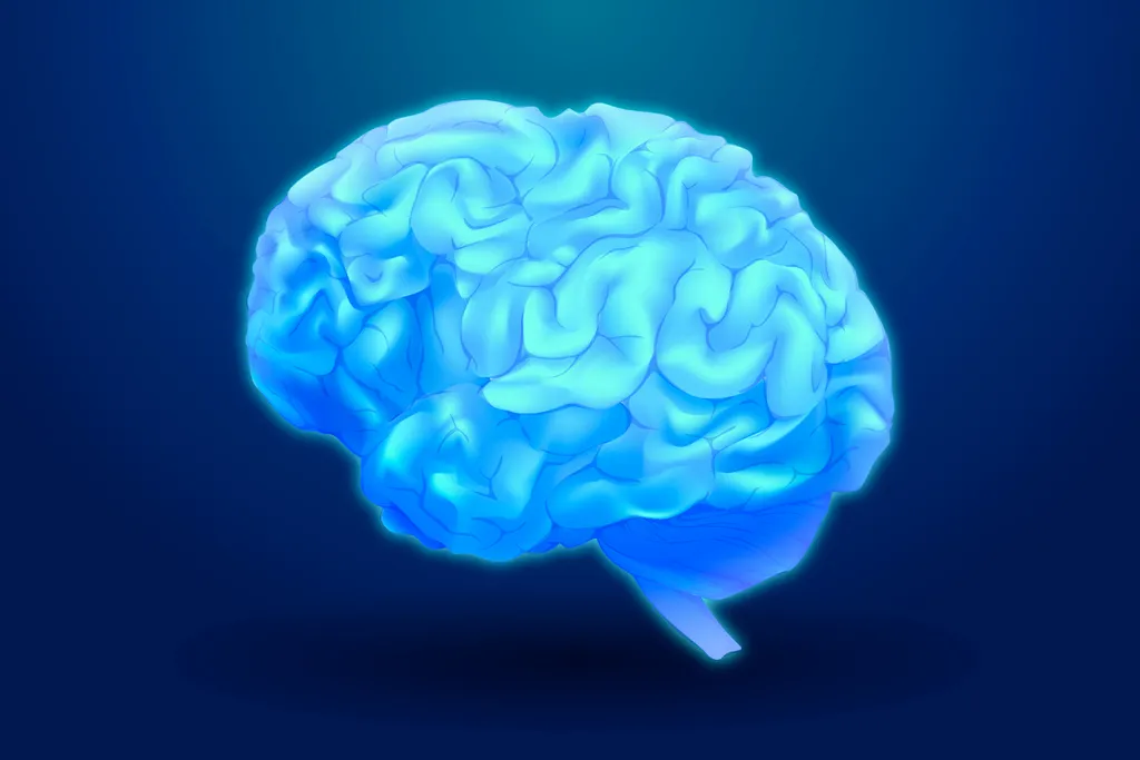 Pré-cúneo: estímulos nesta área do cérebro ajudam a conter Alzheimer - 2