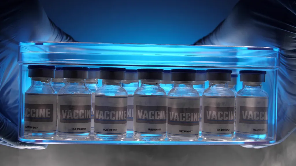 Brasil recebe primeiros lotes da vacina bivalente contra covid-19 - 2