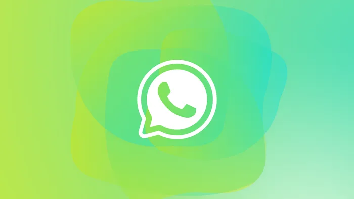 Como saber grupos em comum com um contato no WhatsApp - 1