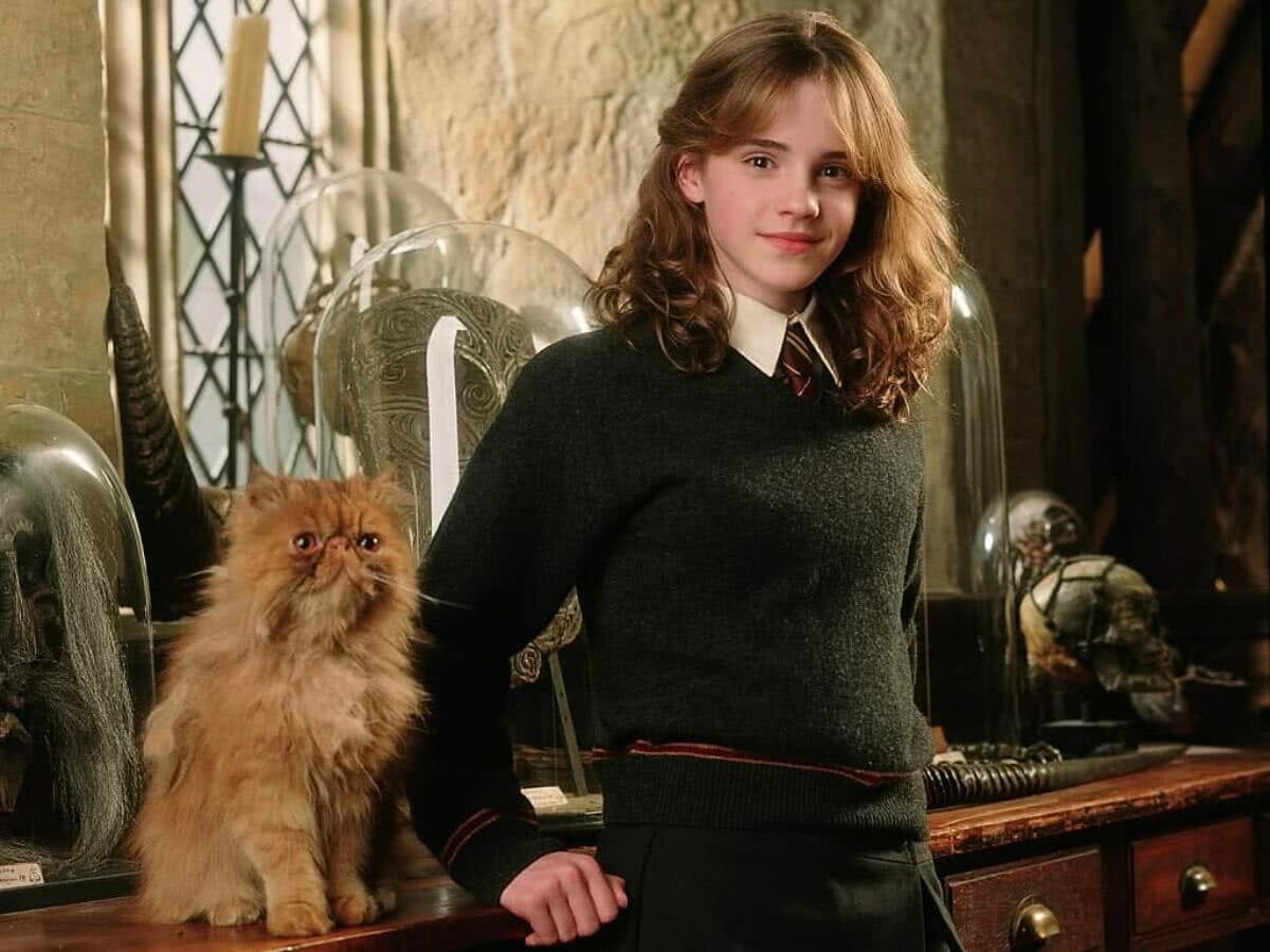 Emma Watson, de Harry Potter, recusou papel milionário em filme aclamado - 1