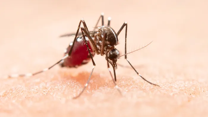 Teste rápido de malária é feito em menos de 10 segundos - 1