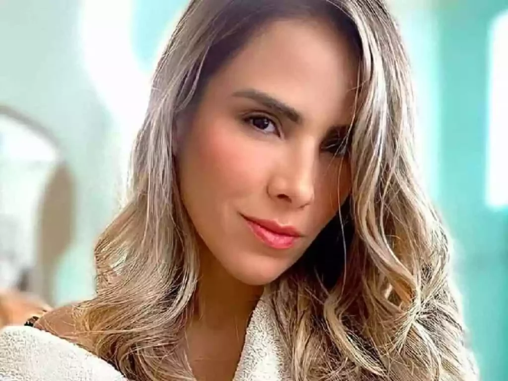 Wanessa Camargo nega informação dada como certa pelo jornalista Léo Dias - 2