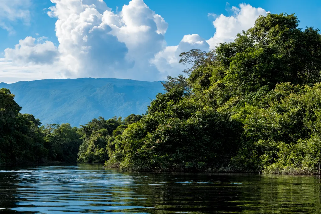 A Amazônia é o maior bioma brasileiro (Imagem: twenty20photos/Envato)